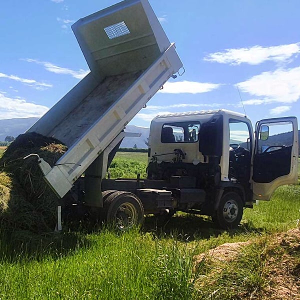 Tipping dump truck for delivery and removal of material