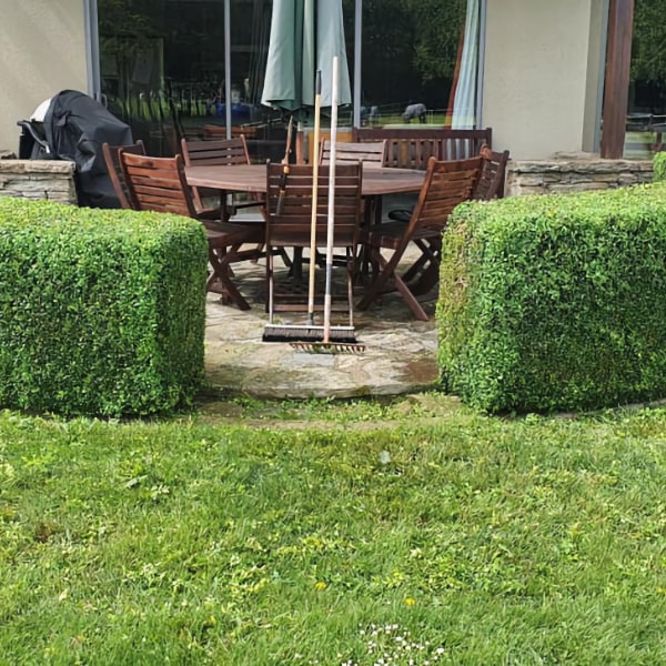 Hedge trimming and garden tidy-up